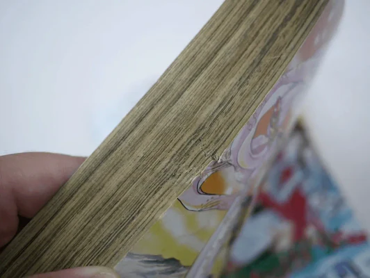 ศึกตำนานเทวะ 3 เล่มจบ (CLAMP) รูปที่ 5