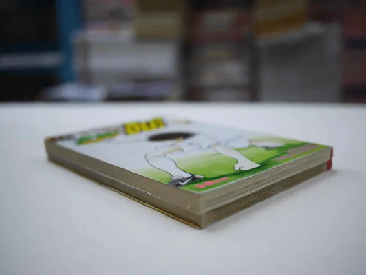 สไตร์คเกอร์ จิน! 2 เล่มจบ (ผู้วาดสึบาสะ) รูปที่ 4