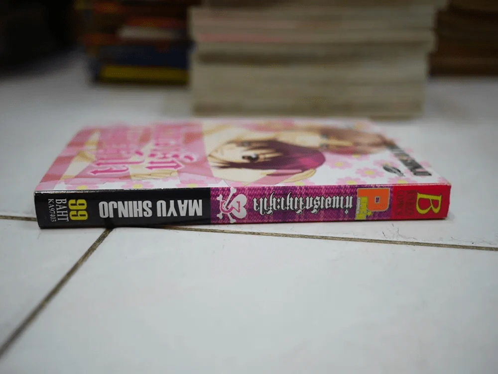 ทำนองรักจังหวะหัวใจ เล่ม 3 (จบภาค) เล่มหนา รูปที่ 2