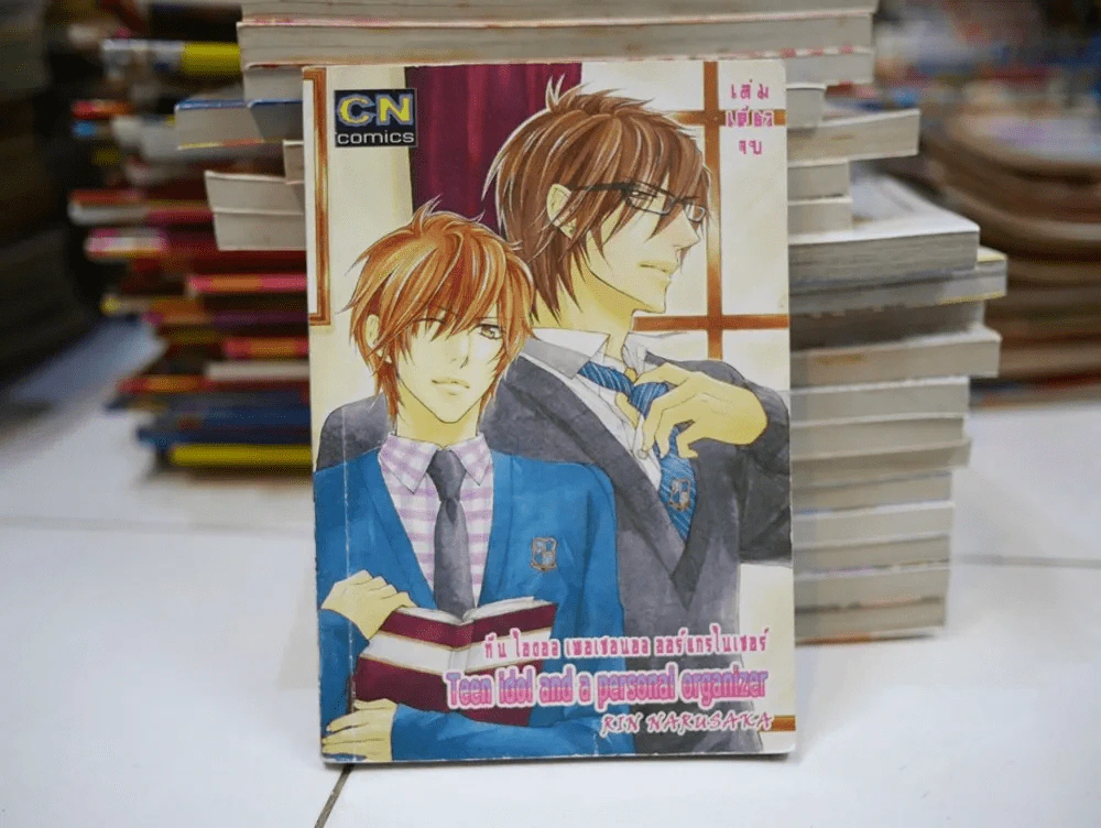 Teen idol and a personal organizer ทีน ไอดอล เพอเซอนอล ออร์แกรไนเซอร์ รูปที่ 1