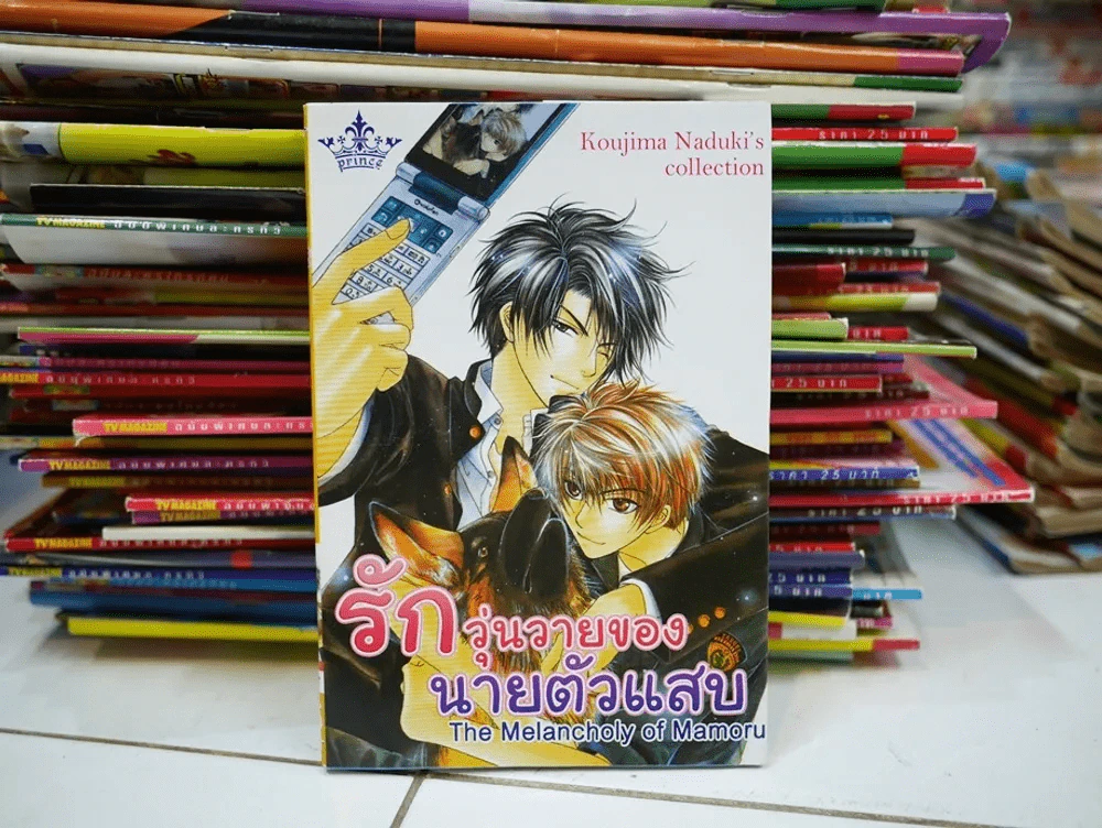 รักวุ่นวายของนายตัวแสบ The Melancholy of Mamoru รูปที่ 1