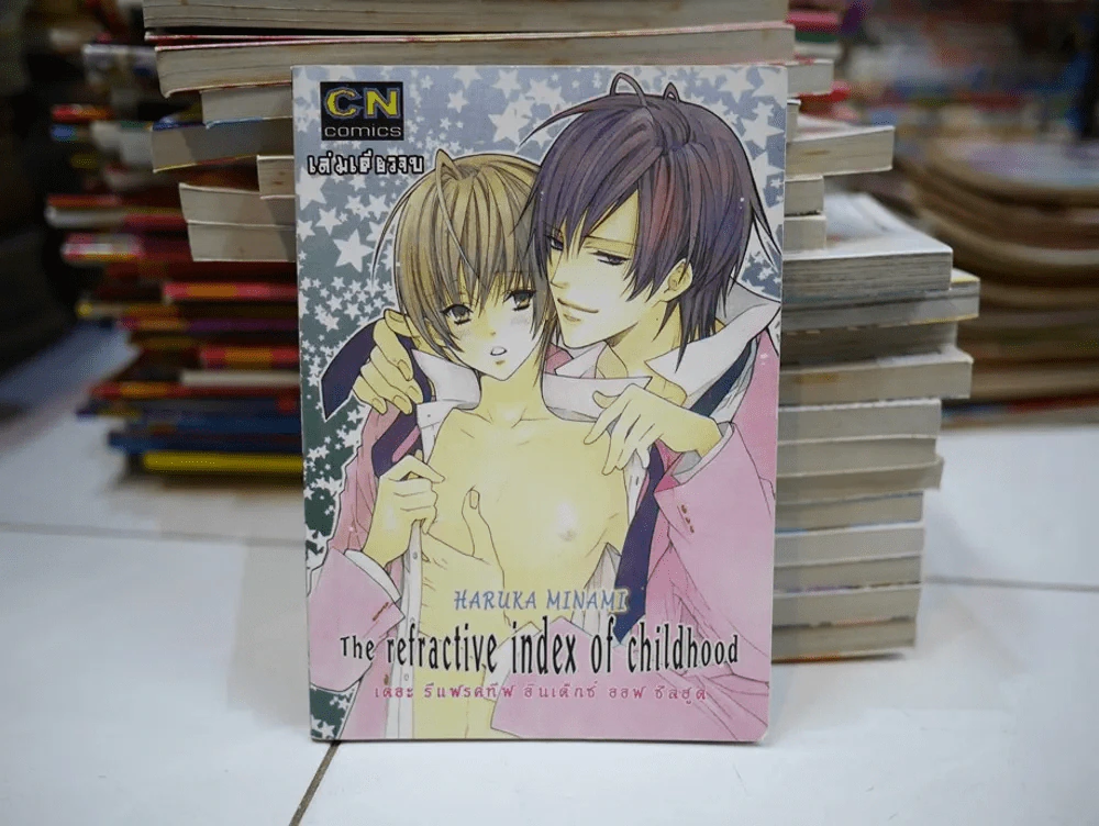 The refractive index of childhood รูปที่ 1