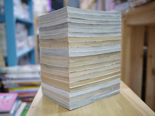 ต้องแบบนี้ถึงจะเจ๋ง เล่ม 1-21 (ผู้เขียน Air Gear) รูปที่ 3