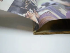 สารวัตรใหญ่ (สภาพบวมน้ำ) รูปที่ 3