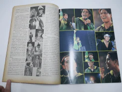 เบิร์ด พริกขี้หนู ธงไชย แมคอินไตย์ ศิลปินผู้ยิ่งใหญ่ (เบิร์ด ธงไชย) รูปที่ 6