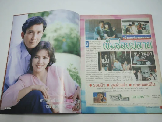 เข็มซ่อนปลาย รูปที่ 5