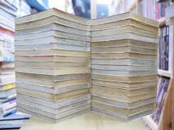 จินมี่หมัดเหล็ก ภาคแรก 35 เล่มจบ รูปที่ 4