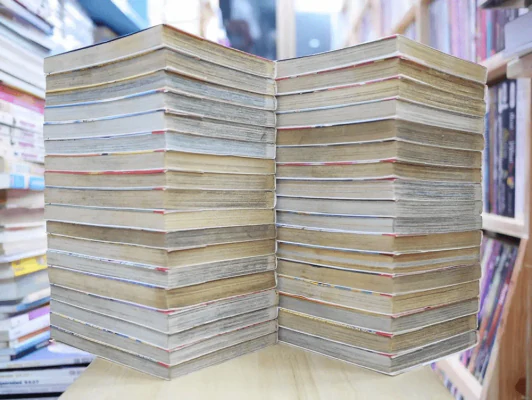จินมี่หมัดเหล็ก ภาคแรก 35 เล่มจบ รูปที่ 4
