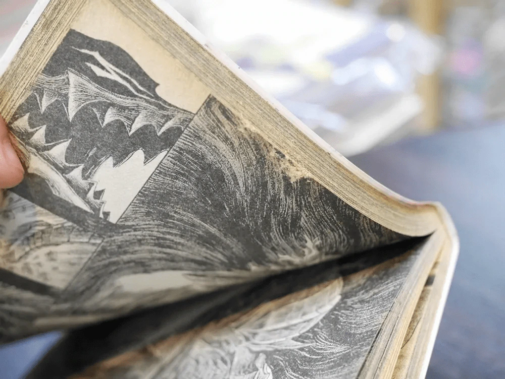Berserk เล่ม 28 รูปที่ 2