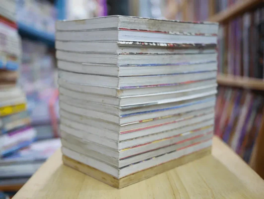 เรื่องเล่าเขย่าขวัญ 17 เล่มครบชุด (มีเรื่องของ Junji Ito และนักเขียนสยองขวัญท่านอื่น) รูปที่ 3
