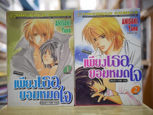 เพียงเธอยอมหมดใจ 2 เล่มจบ รูปที่ 1