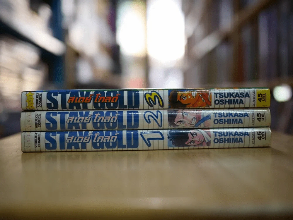 Stay Gold สเตย์ โกลด์ 3 เล่มจบ รูปที่ 2