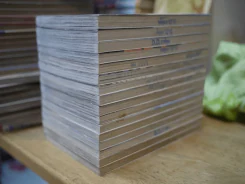 สายใยรัก 16 เล่มจบ รูปที่ 3