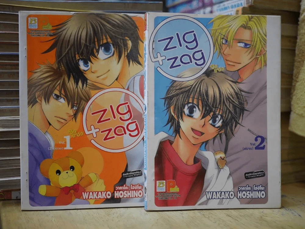 Zig Zag ซิกแซก 2 เล่มจบ รูปที่ 1