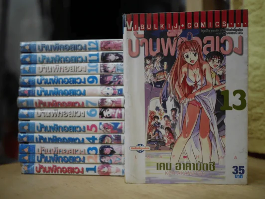 บ้านพักอลเวง 14 เล่มจบ รูปที่ 1
