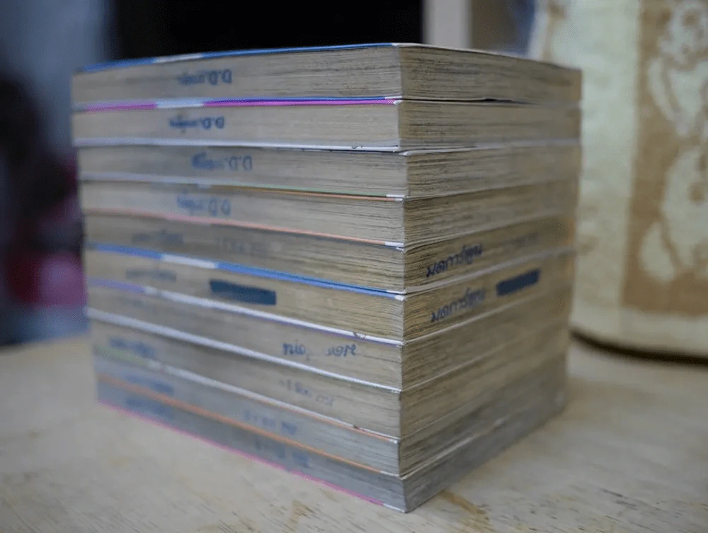 VECTOR CASE FILE ผ่าคดีเพลงพิศวง 10 เล่มจบ รูปที่ 4