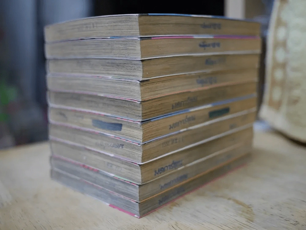 VECTOR CASE FILE ผ่าคดีเพลงพิศวง 10 เล่มจบ รูปที่ 3