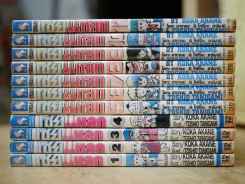 โซ้ยแหลก 11 เล่มจบ รูปที่ 2