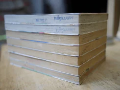 Sprout 7 เล่มจบ รูปที่ 4
