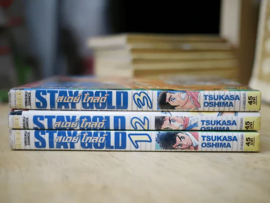 Stay Gold สเตย์ โกลด์ 3 เล่มจบ รูปที่ 2