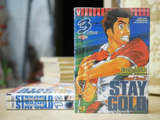 Stay Gold สเตย์ โกลด์ 3 เล่มจบ รูปที่ 1