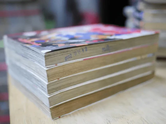 โตโต้ The wonderful Adventure 5 เล่มจบ รูปที่ 3