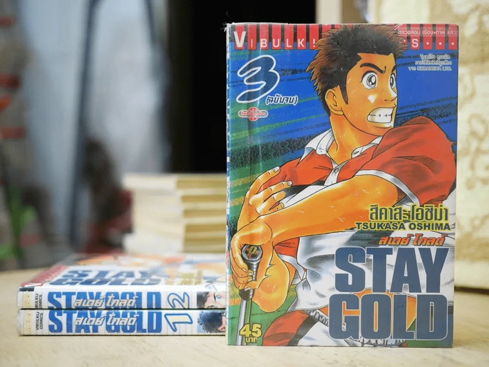 Stay Gold สเตย์ โกลด์ 3 เล่มจบ รูปที่ 1