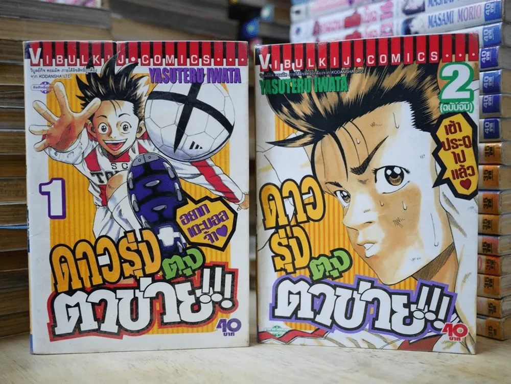 ดาวรุ่งตุงตาข่าย 2 เล่มจบ รูปที่ 1