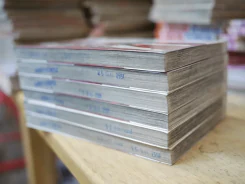 เจ้าหญิงอาถรรพ์มิโดโระ 6 เล่มจบ รูปที่ 4