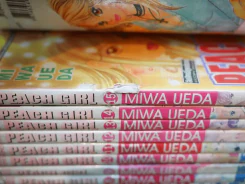 Peach Girl 18 เล่มจบ รูปที่ 1