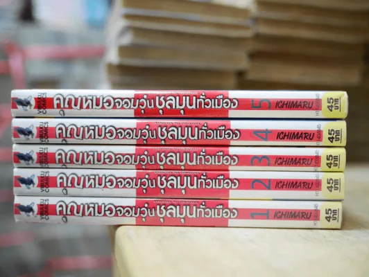 คุณหมอจอมวุ่นชุลมุนทั่วเมือง 5 เล่มจบ รูปที่ 2