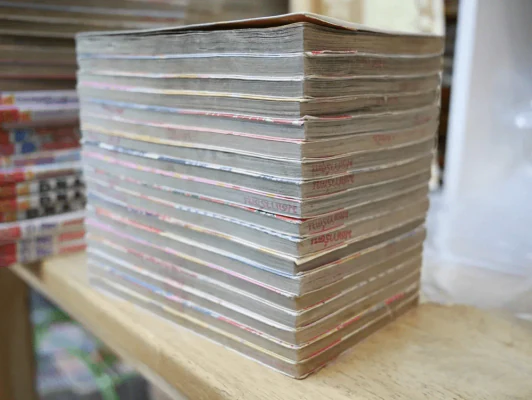 Peach Girl 18 เล่มจบ รูปที่ 5