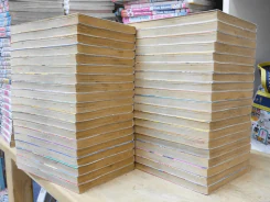 รันม่า 1/2 ไอ้หนุ่มกังฟู 38 เล่มจบ รูปที่ 4