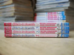 สู้ให้ถึงฝันวันแห่งความรัก 4 เล่มจบ รูปที่ 2
