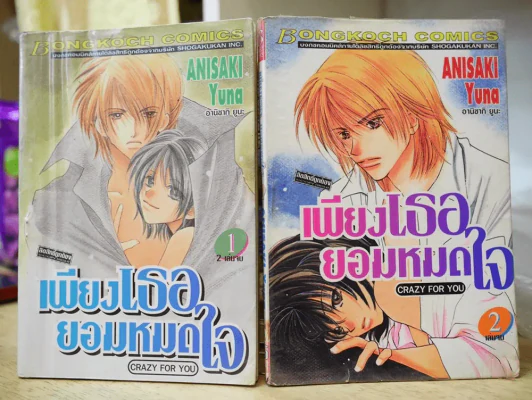 เพียงเธอยอมหมดใจ 2 เล่มจบ รูปที่ 1