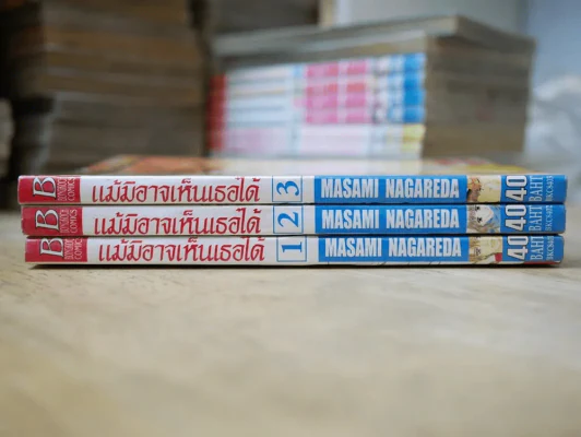 แม้มิอาจเห็นเธอได้ 3 เล่มจบ รูปที่ 2
