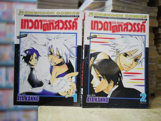 เทวดาตกสวรรค์ 2 เล่มจบ รูปที่ 1