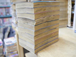 ลูกผู้ชายลิขิตฟ้า 10 เล่มจบ (เล่ม 7 สภาพบวมน้ำ) - อิเคงามิ เรียวอิจิ รูปที่ 4