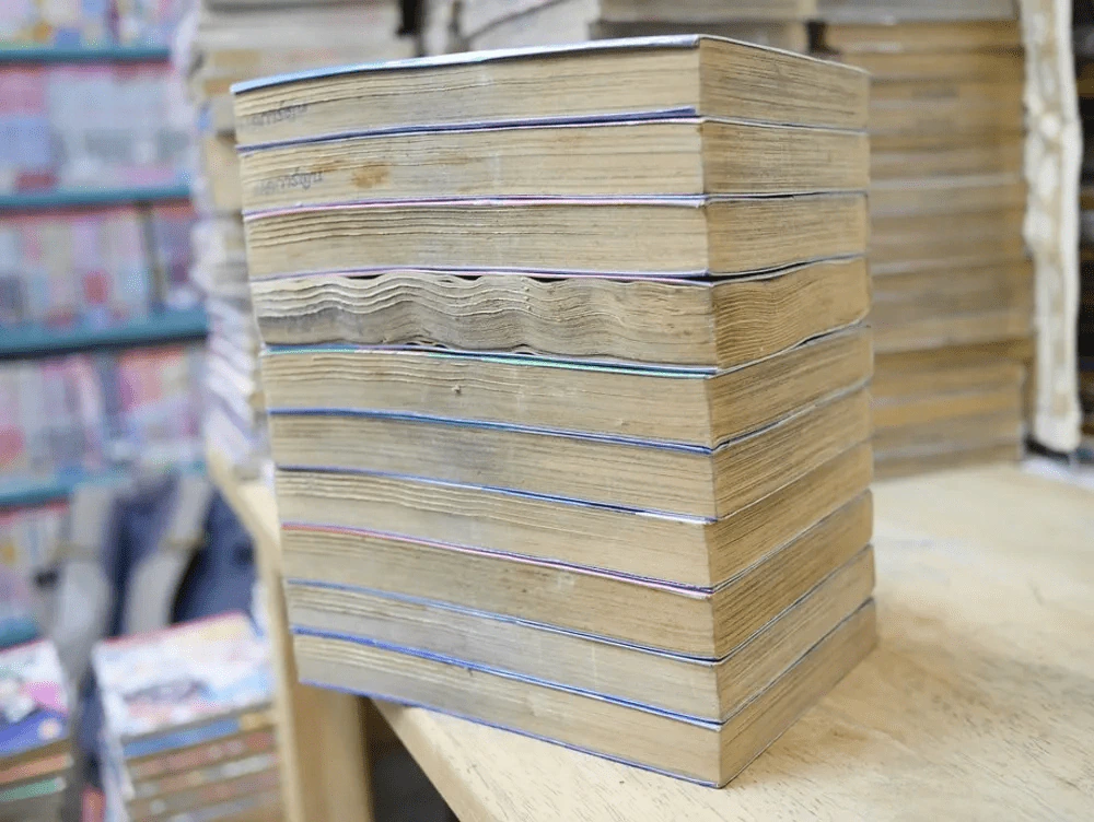 ลูกผู้ชายลิขิตฟ้า 10 เล่มจบ (เล่ม 7 สภาพบวมน้ำ) - อิเคงามิ เรียวอิจิ รูปที่ 3