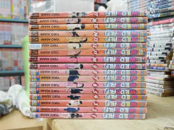 Wild Half 17 เล่มจบ รูปที่ 2