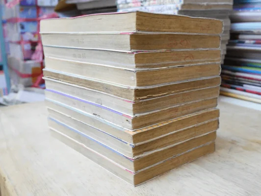 คิ้วหนาซ่าสุดๆ 12 เล่มจบ (เล่ม 5 มีรอยแทะ) รูปที่ 3