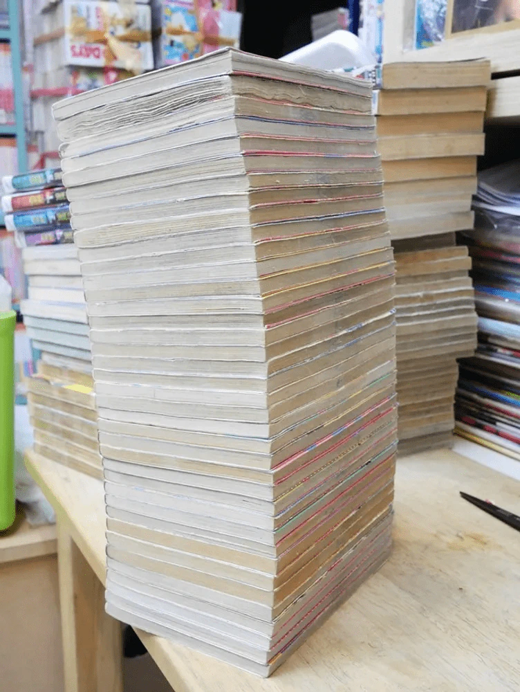 รันม่า 1/2 ไอ้หนุ่มกังฟู 38 เล่มจบ รูปที่ 4