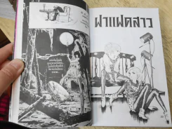 เจ้าสาวซาตาน 8 เล่มจบ (คนเขียนCrystal Dragon) รูปที่ 5