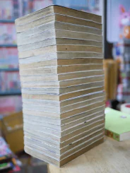ต๊องแน่แต่อัจฉริยะเรียกพี่ 24 เล่มจบ รูปที่ 4
