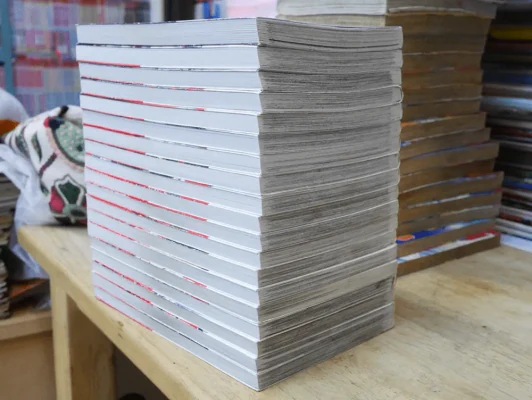 Vampire Knight 19 เล่มจบ + Fanbook รูปที่ 4