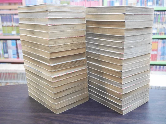 Berserk เล่ม 1-36 รูปที่ 4