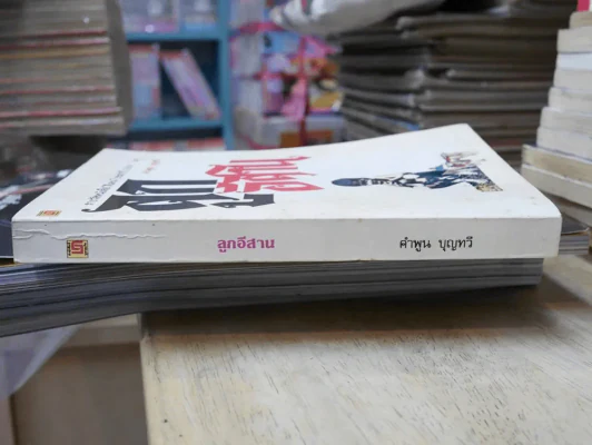 ลูกอีสาน รูปที่ 2