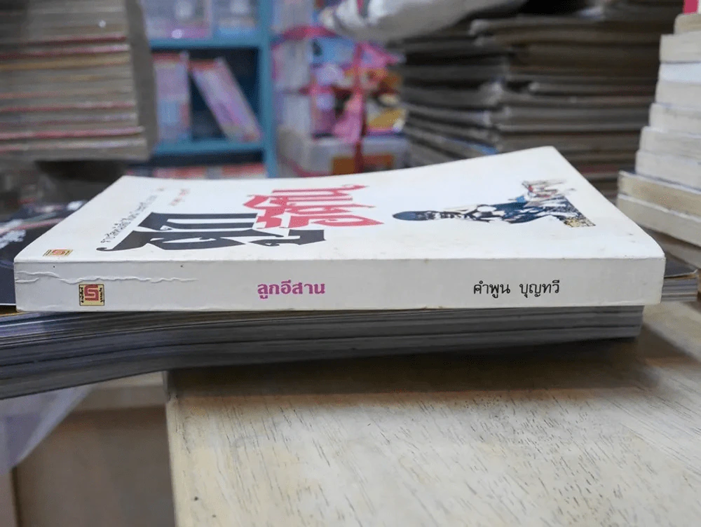 ลูกอีสาน รูปที่ 2
