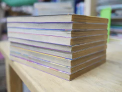 จ้าวพยัคฆ์ 9 เล่มจบ (ผู้เขียนซันชิโร่ x2) รูปที่ 3