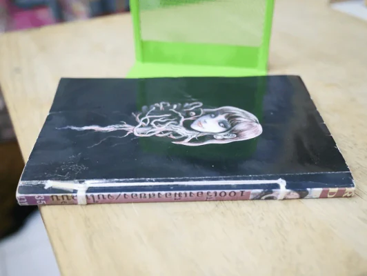 100 เรื่องเมืองสยอง (Junji Ito) รูปที่ 5